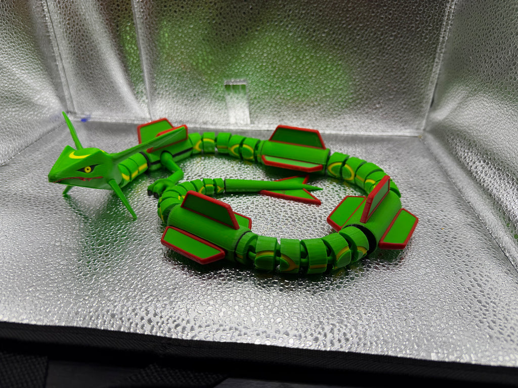 Flying Ray Snake