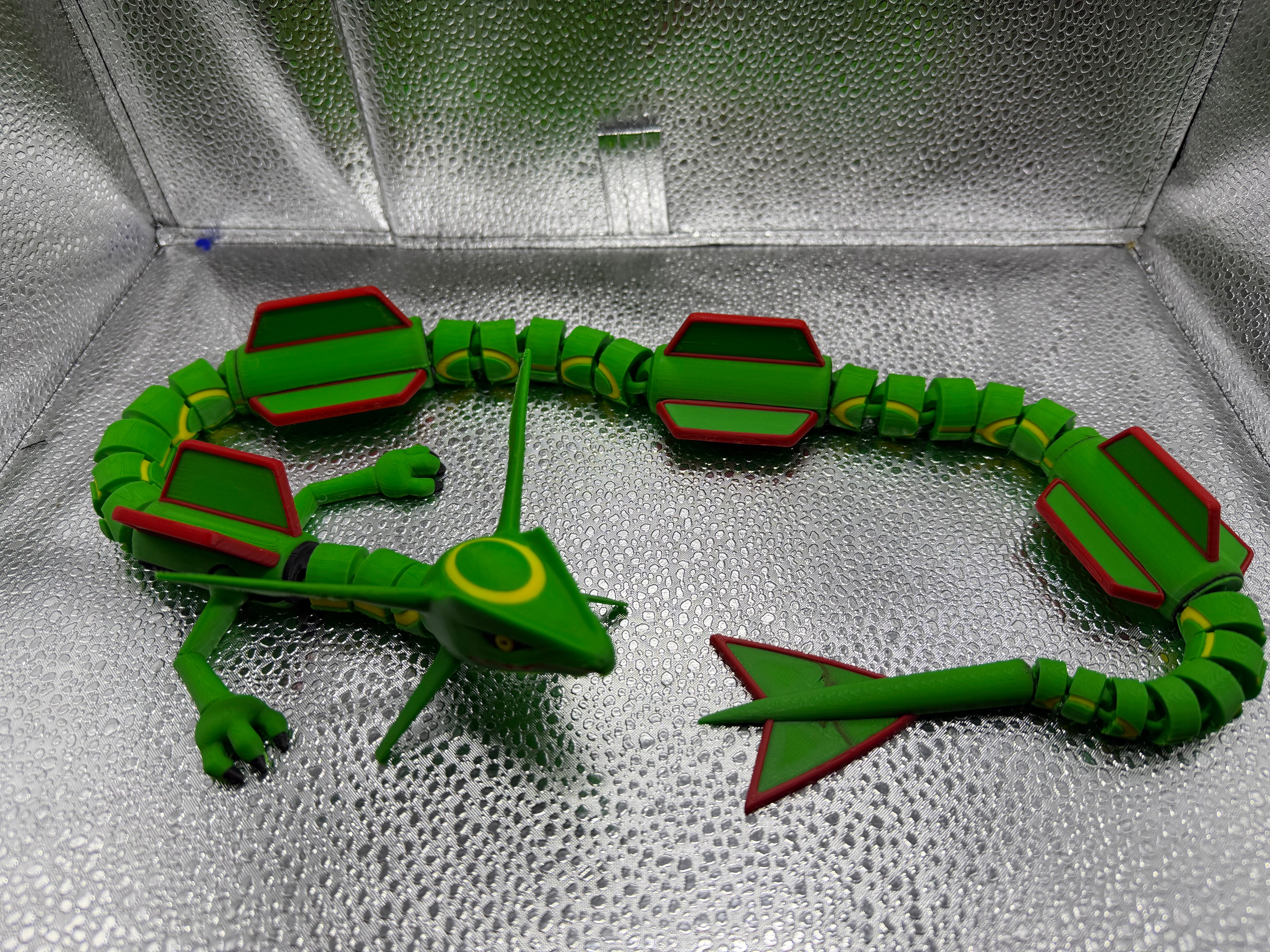 Flying Ray Snake