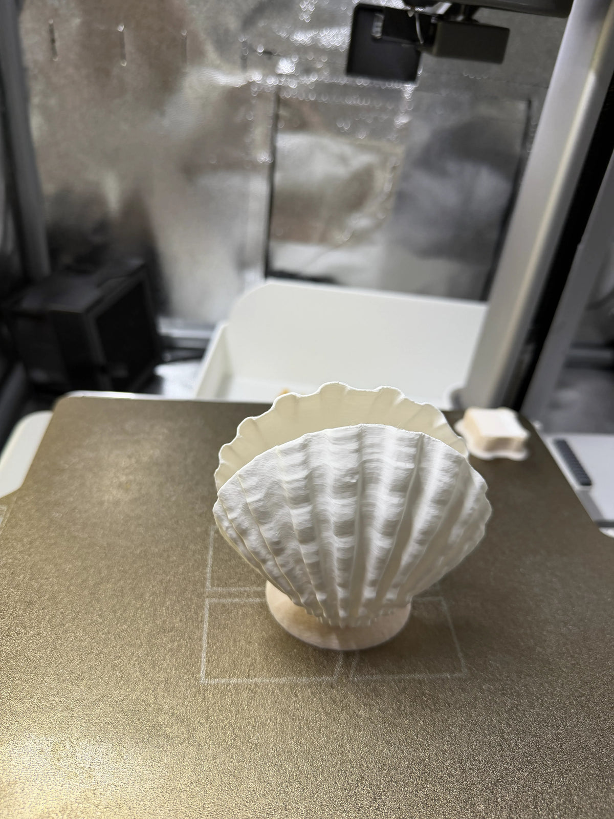 Set of 9 Sea Shell Napkin Holder