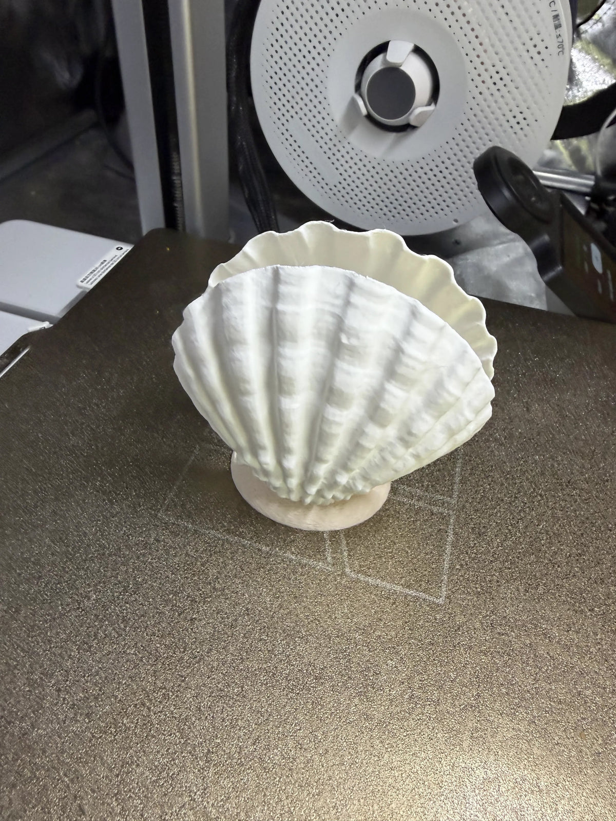 Set of 9 Sea Shell Napkin Holder
